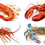Krewetka, homar, langusta i krab z kroplami oleju – naturalne ekstrakty z owoców morza w ofercie AGREMA Poland